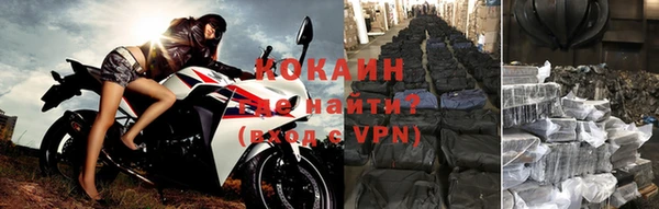 гашик Белоозёрский