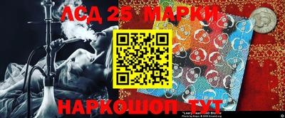 гашик Камышлов