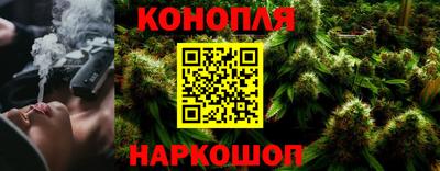 гашик Камышлов
