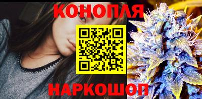 гашик Камышлов