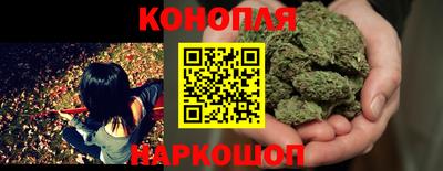гашик Камышлов