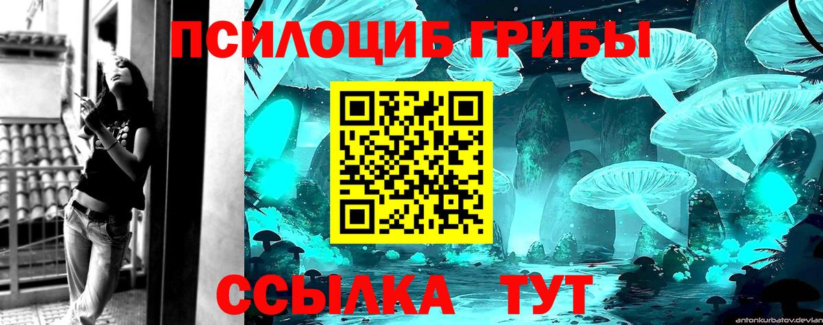 Луховицы  Псилоцибиновые грибы Psilocybine cubensis  Вход с VPN  Псилоцибиновые грибы ЛСД 